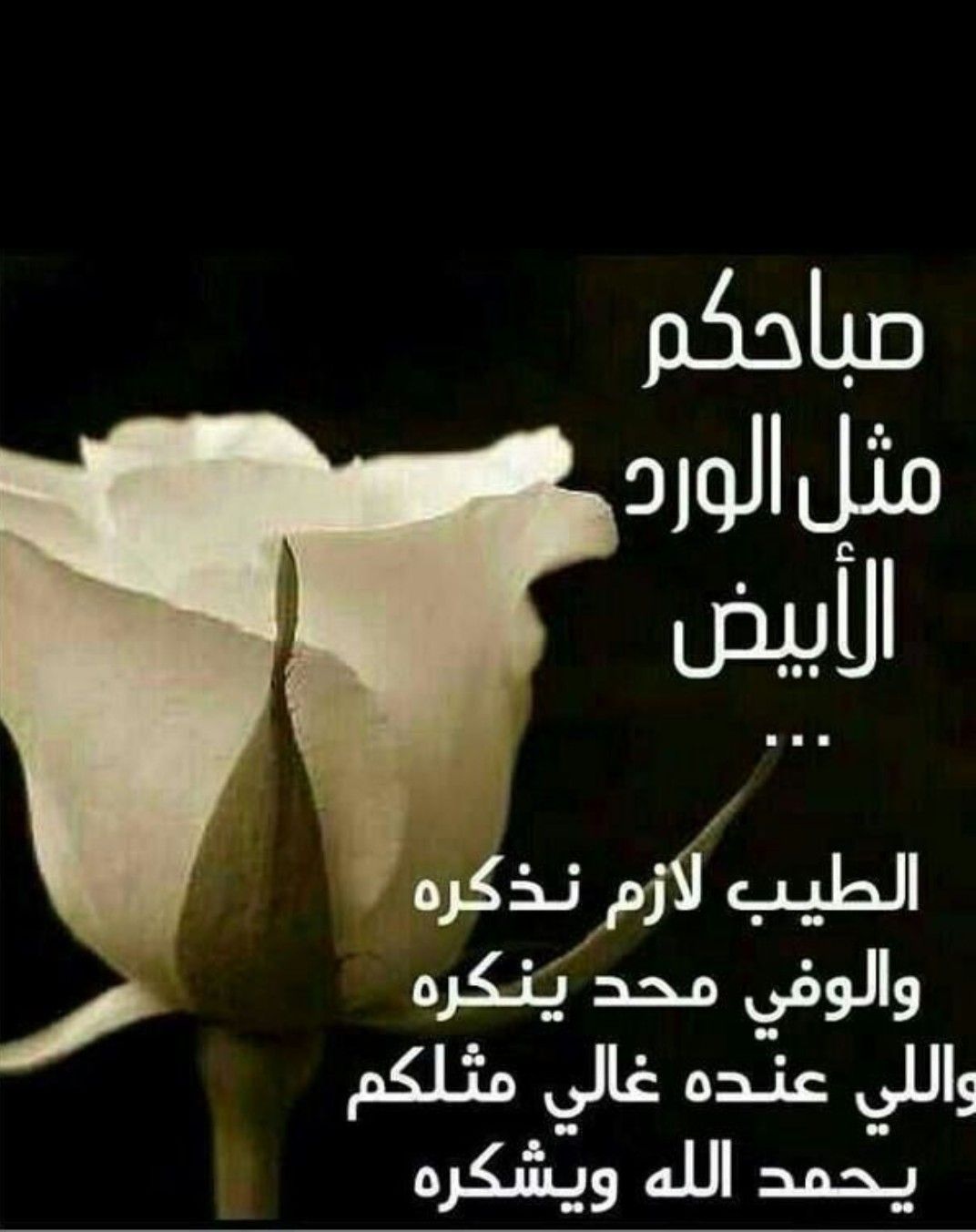 صور صباحيه للحبيب