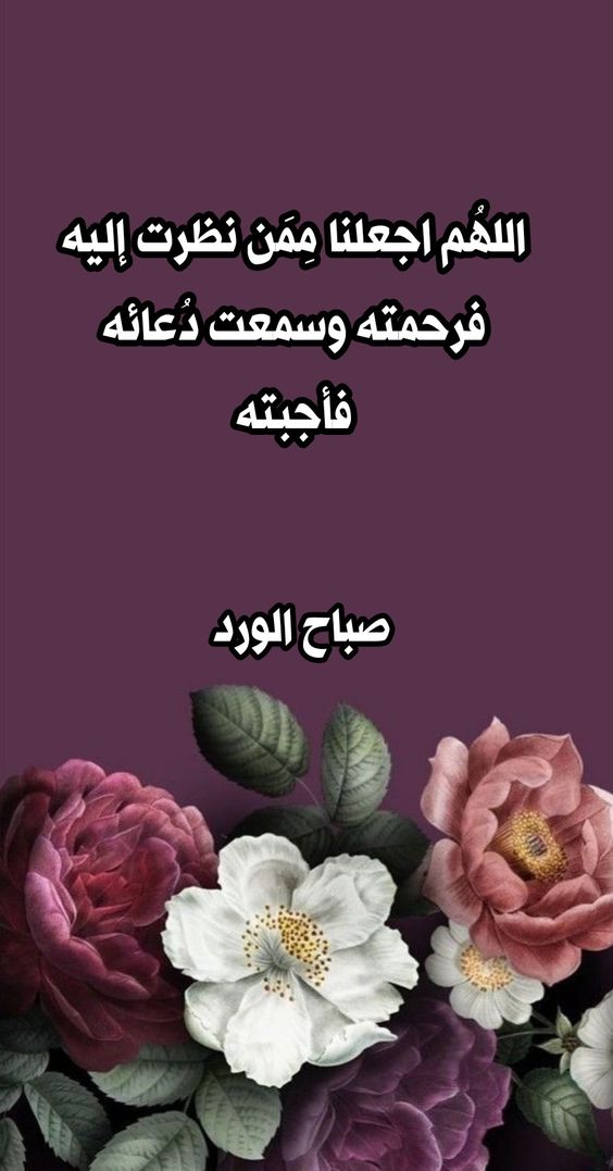 صور صباح الورد