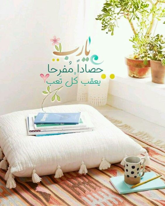 أجمل عبارات الصباح