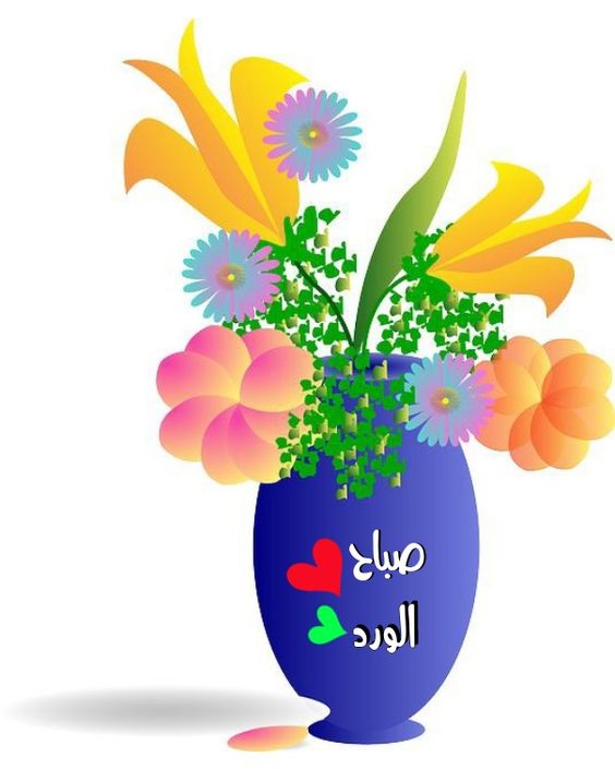 عبارات صباح الورد والياسمين