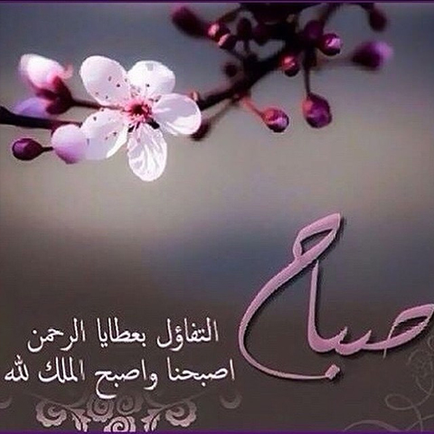 الصور الصباح الخير