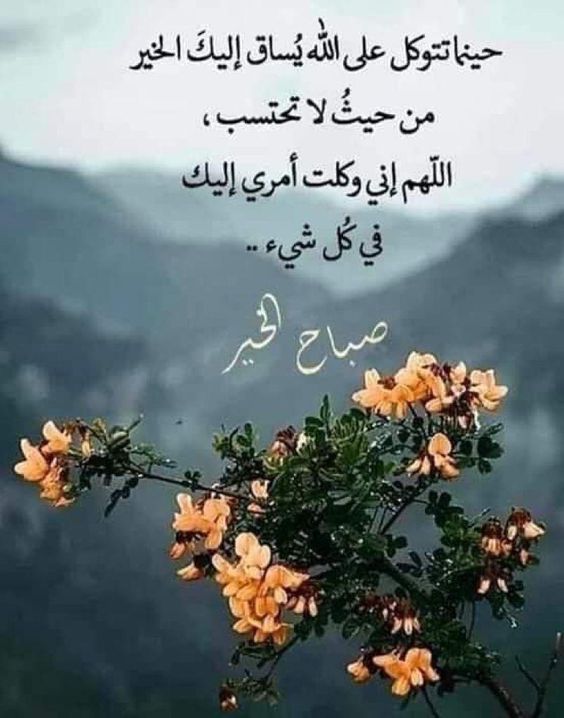 صباحات مميزة