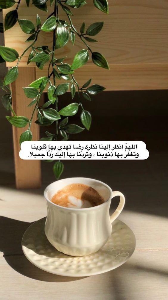 صباحات مميزة