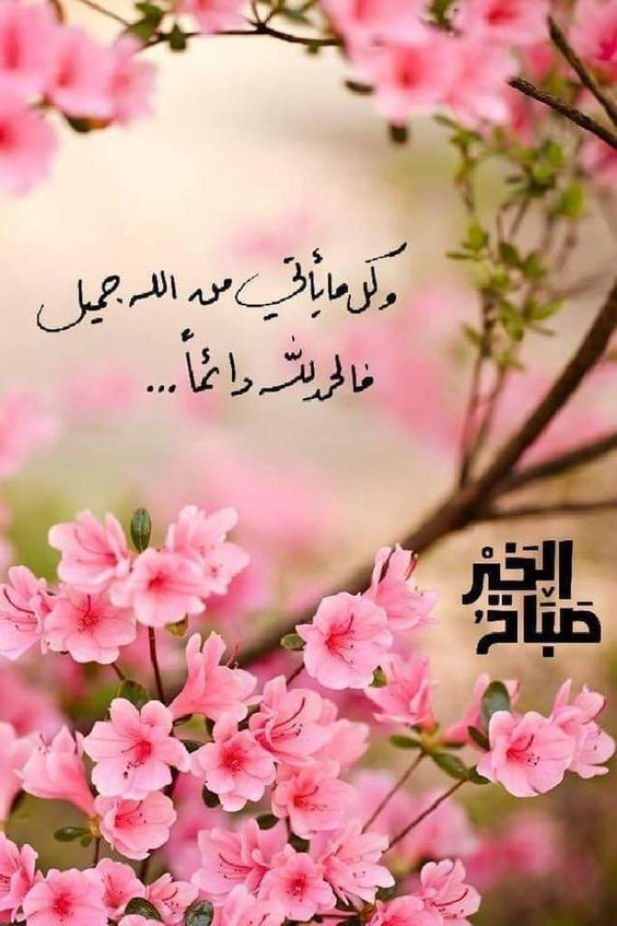 صباحات مميزة