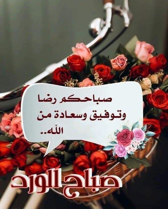 الصباحات الجميلة