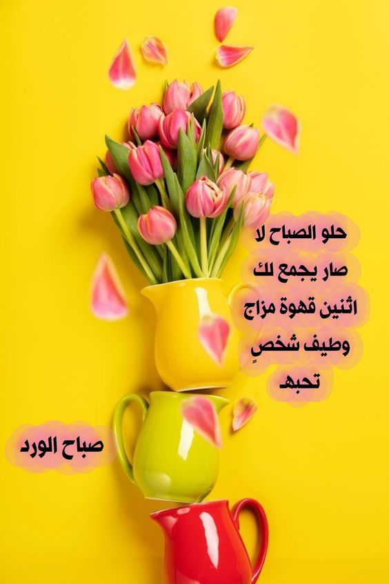 خواطر صباحات