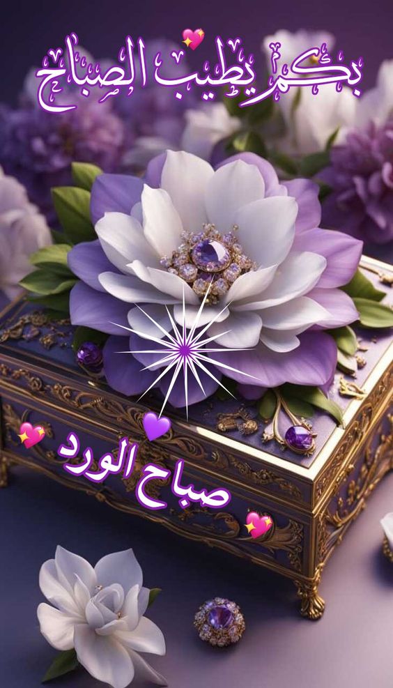 صور الصباحات