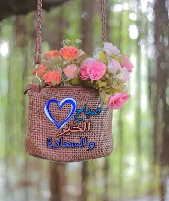 الصباحات الجميلة