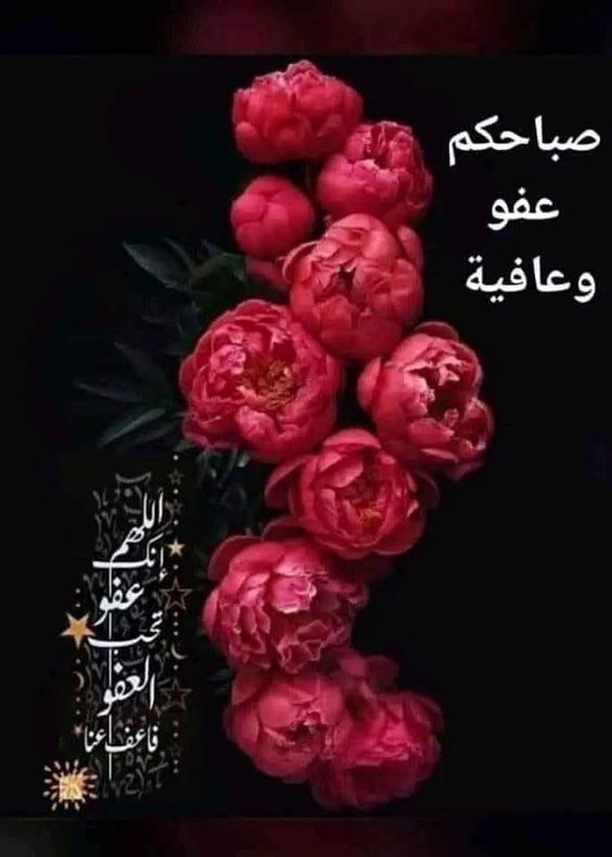 عباره عن صباح الخير