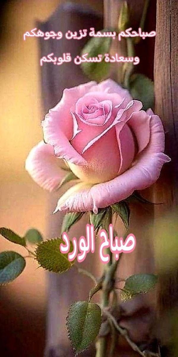 صور صباح الخير 2024