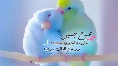 صور صباح الخير والسعادة